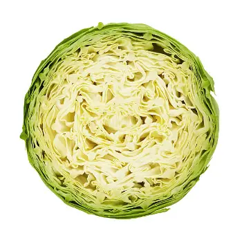 Natural Cabbage